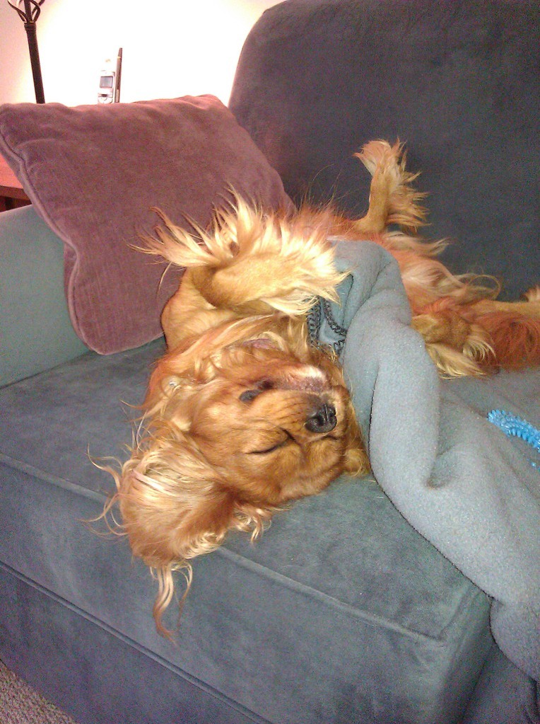 Happiness is a blue blanky