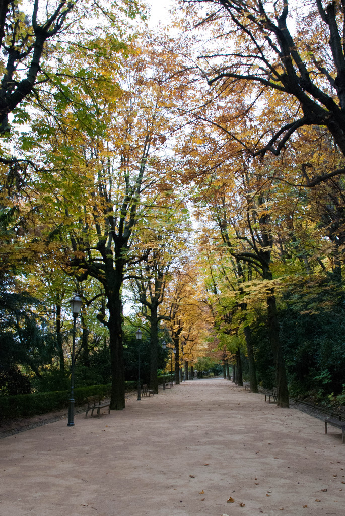 Autumnal path