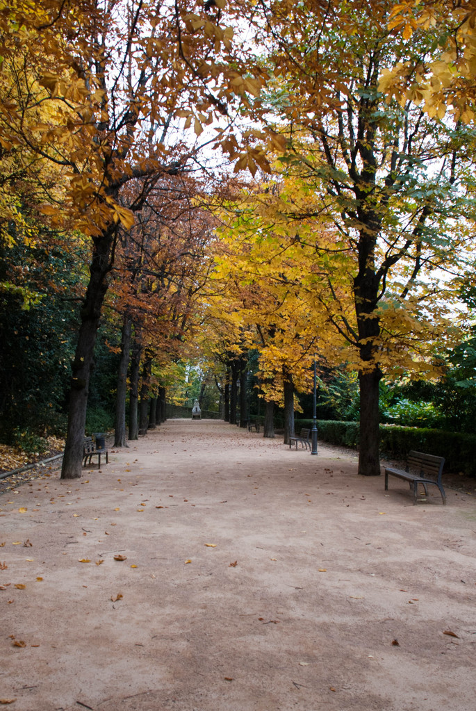 Path