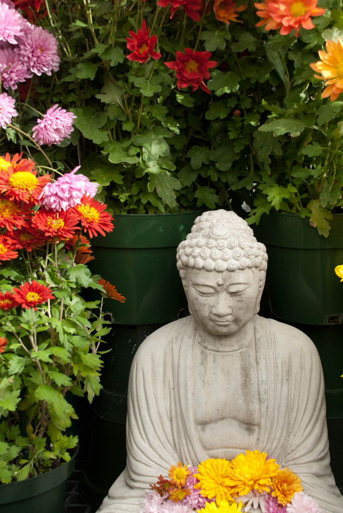 Buddha Buddha