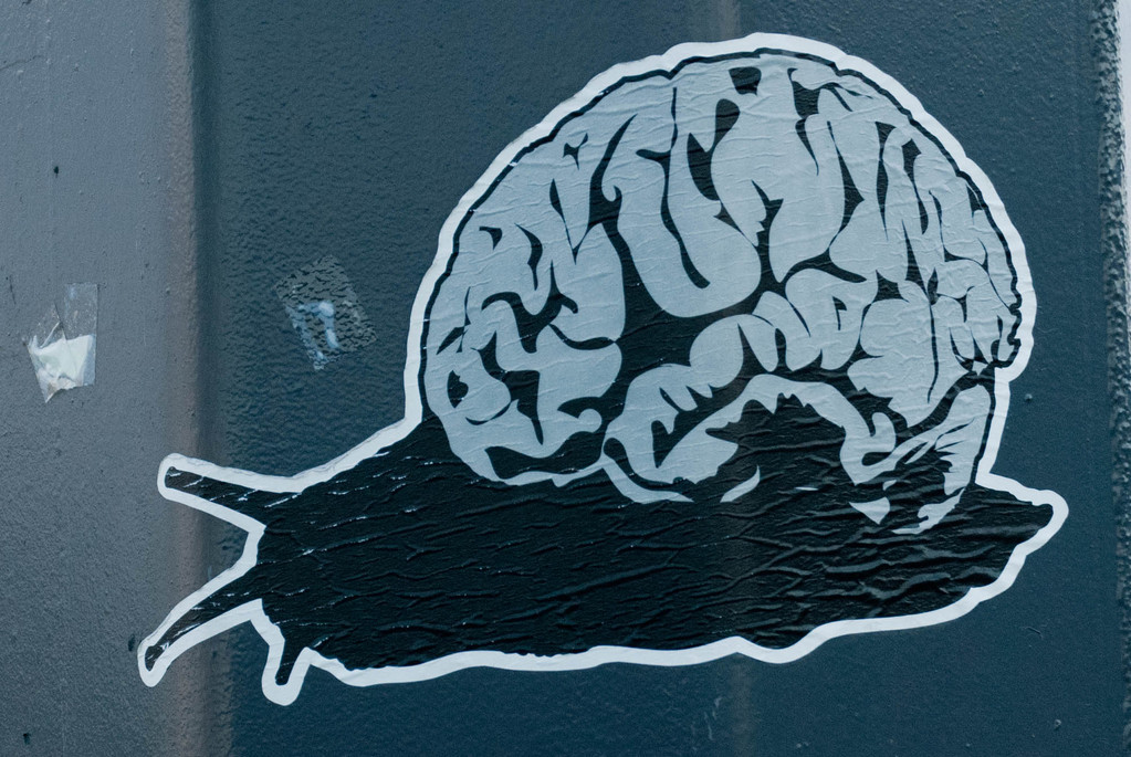 Brain slug