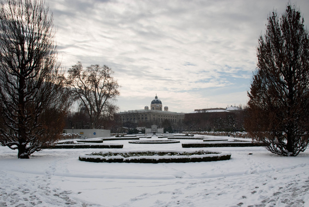 Rose garden in winter