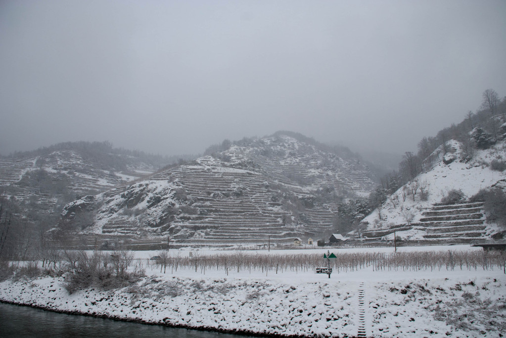 Cruising up the Wachau Valley