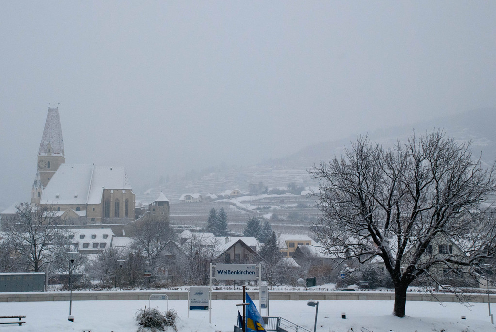 Cruising up the Wachau Valley