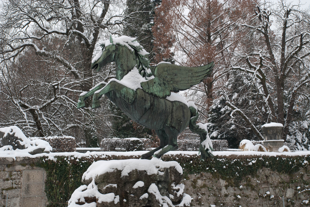 Pegasus