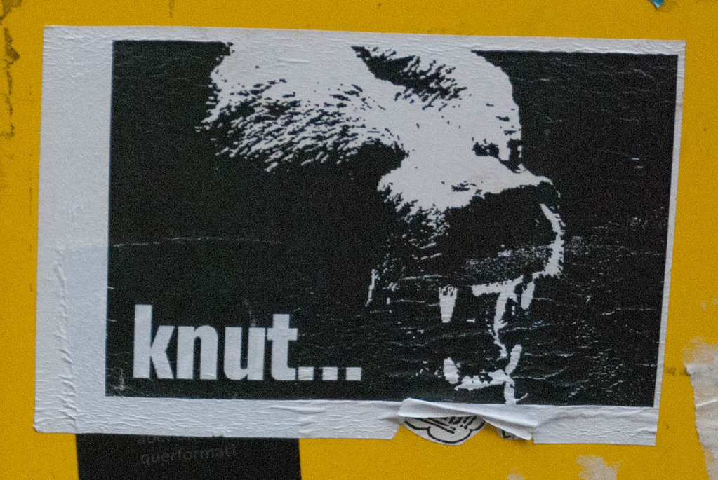 knut...