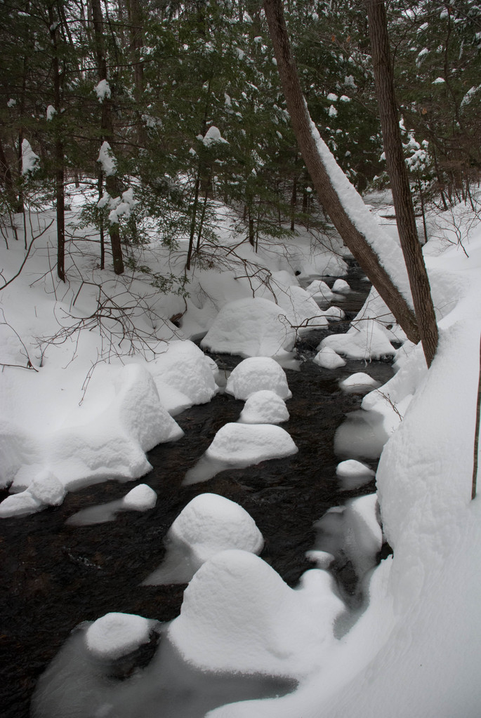 Snowy river Snowy river