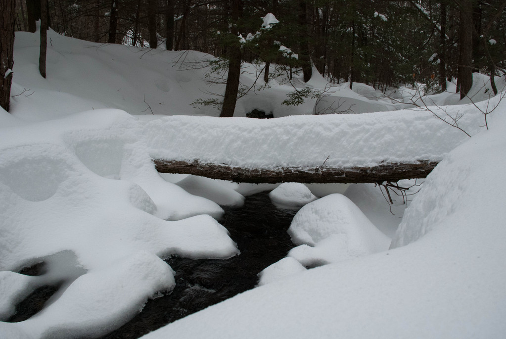 Snow crossing Snow crossing
