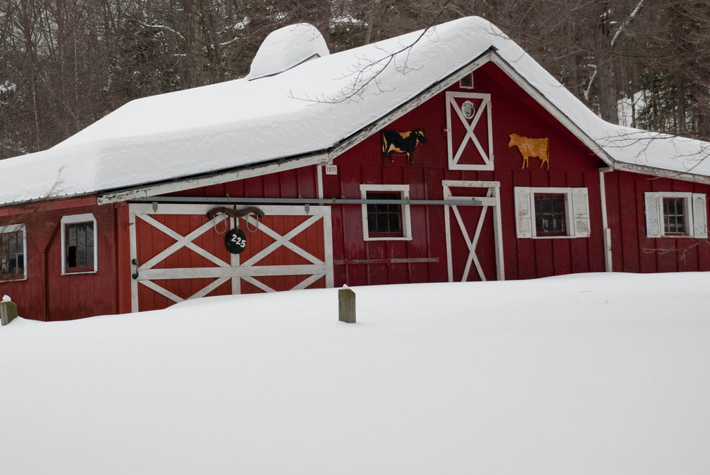 Snowy roof