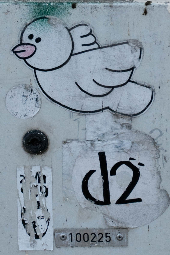 Dove