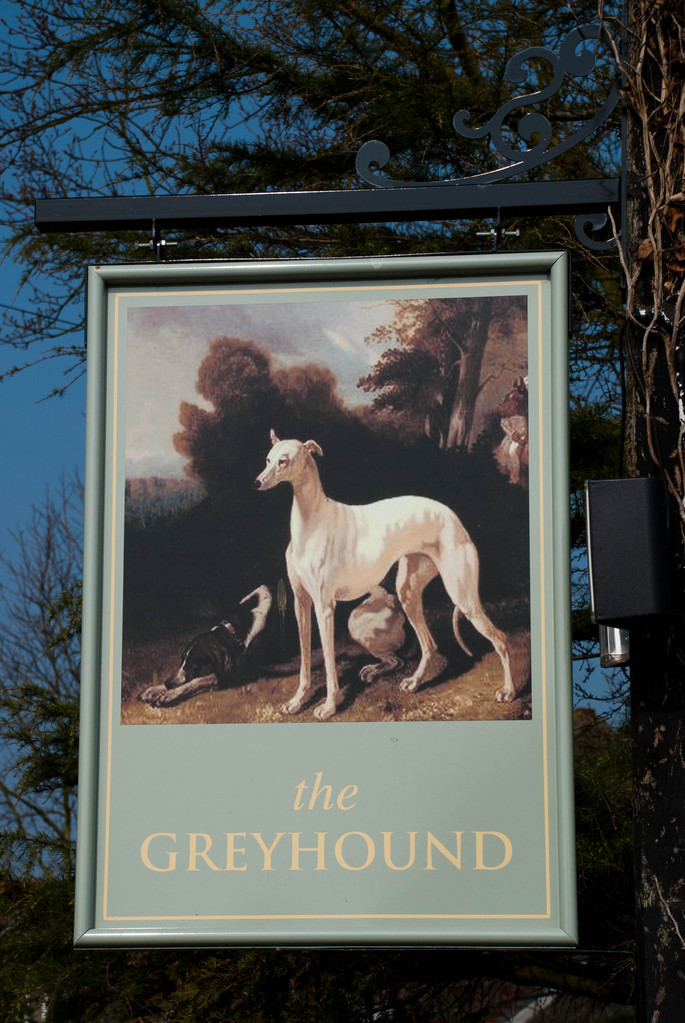 The Greyhound The Greyhound