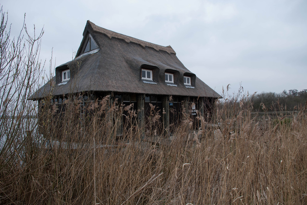 Thatched roof Thatched roof