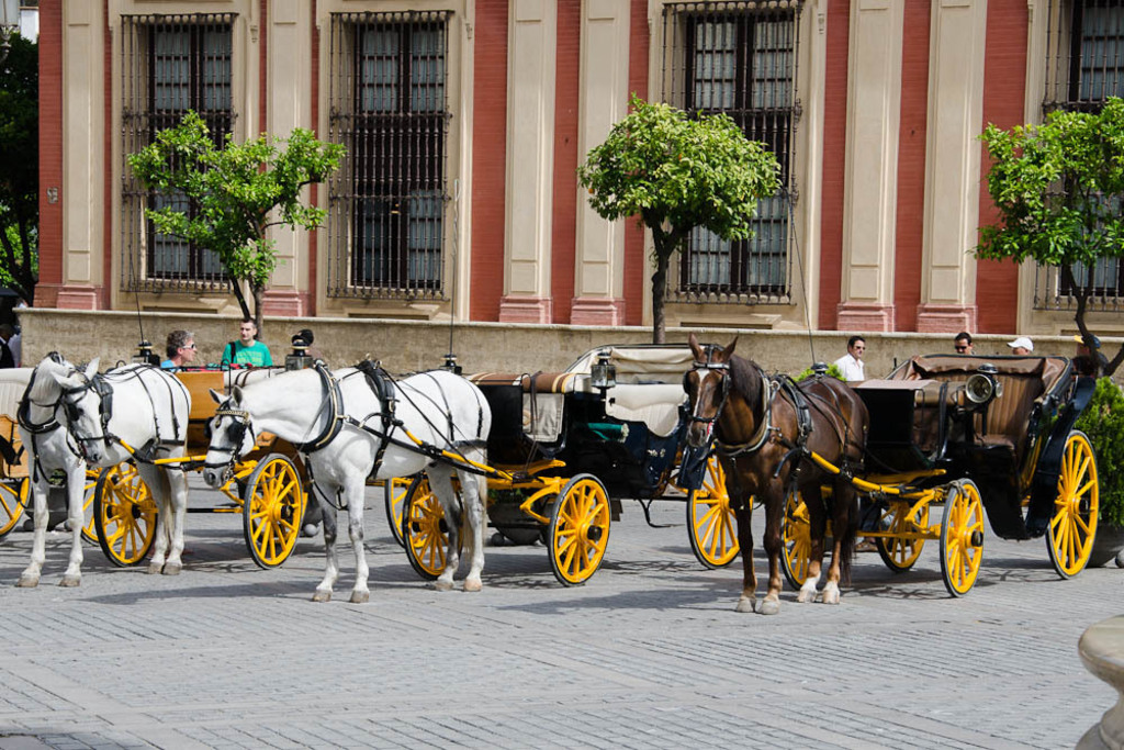Buggies