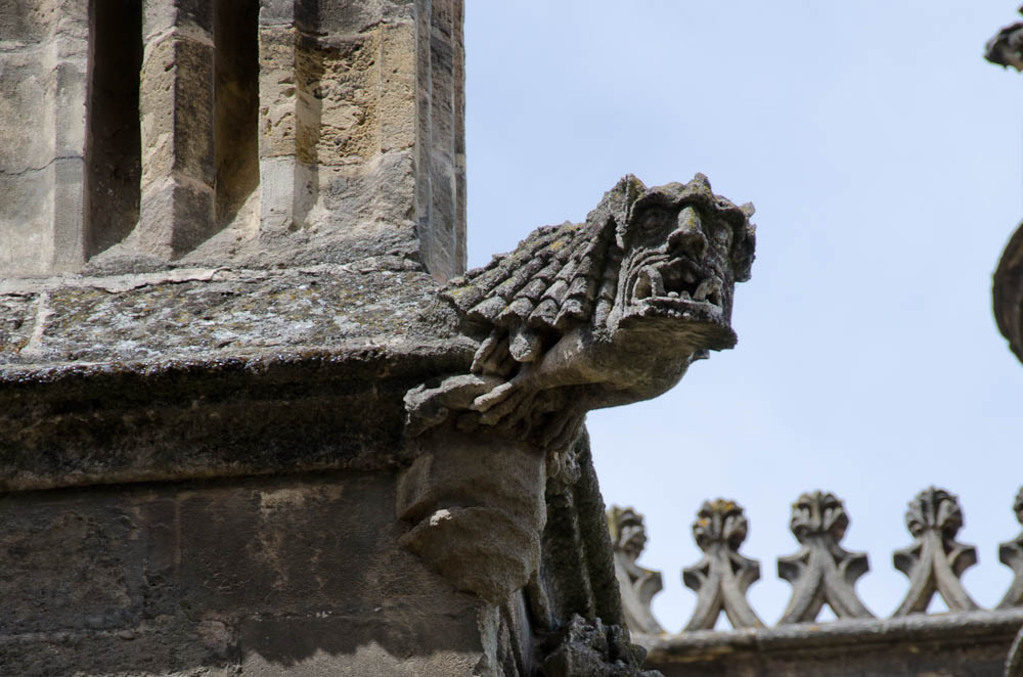 Cathedral gargoyle