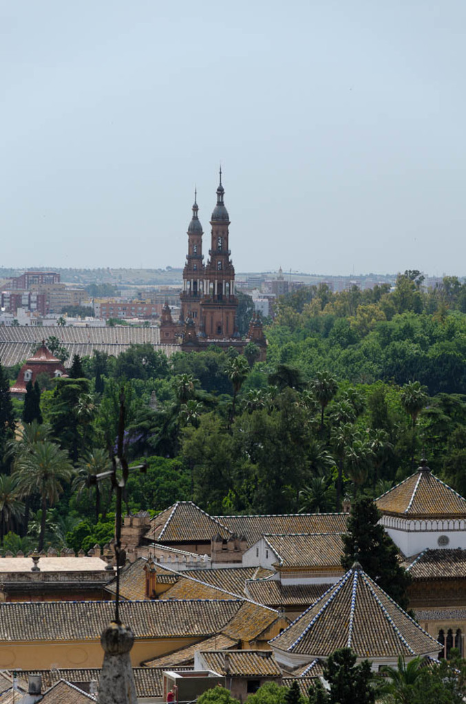 View from La Giralda
