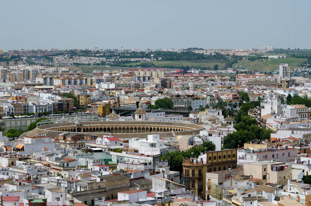 Plaza de toros de la Real Maestranza de Caballería de Sevilla