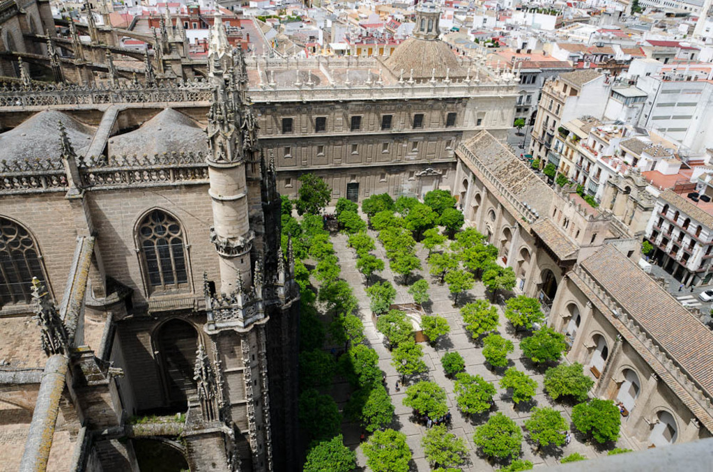Orange grove in the cathedral from La Giralda