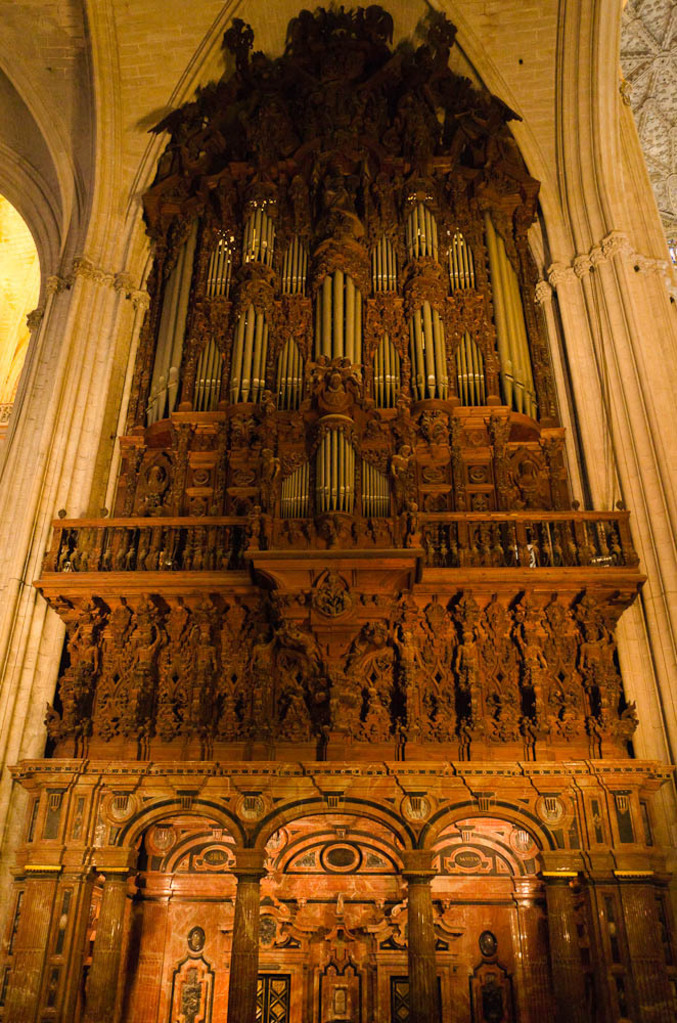 Organ