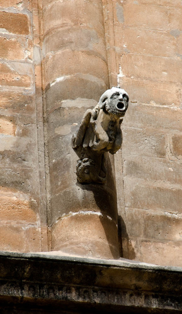 Cathedral gargoyle