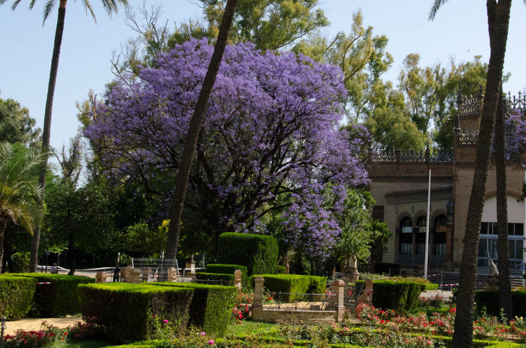 Parque de Maria Luisa