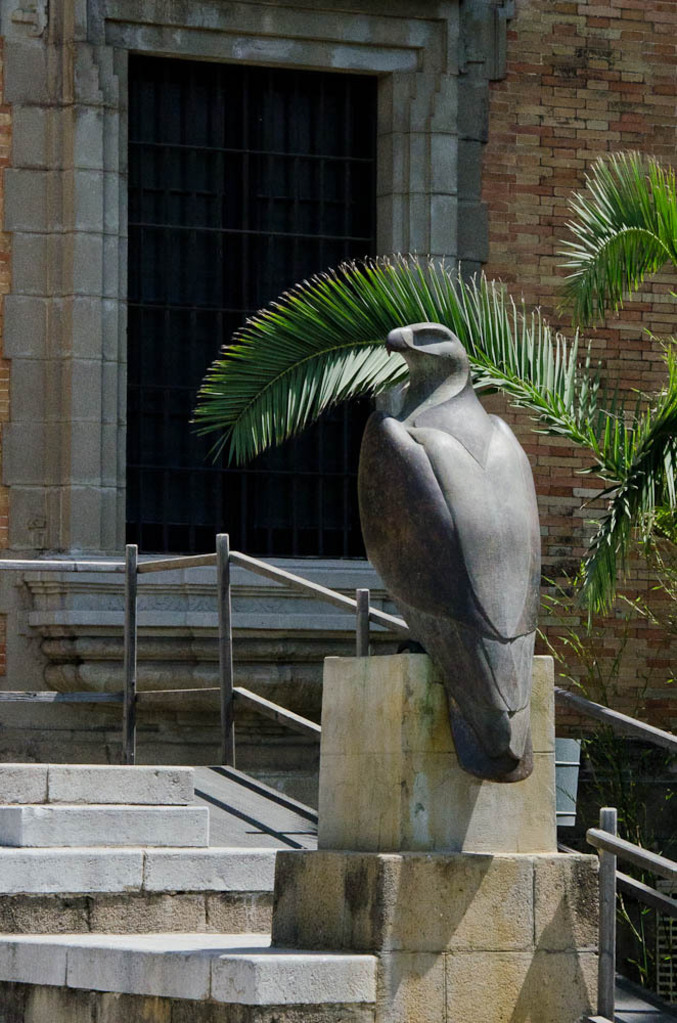 Embassy falcon