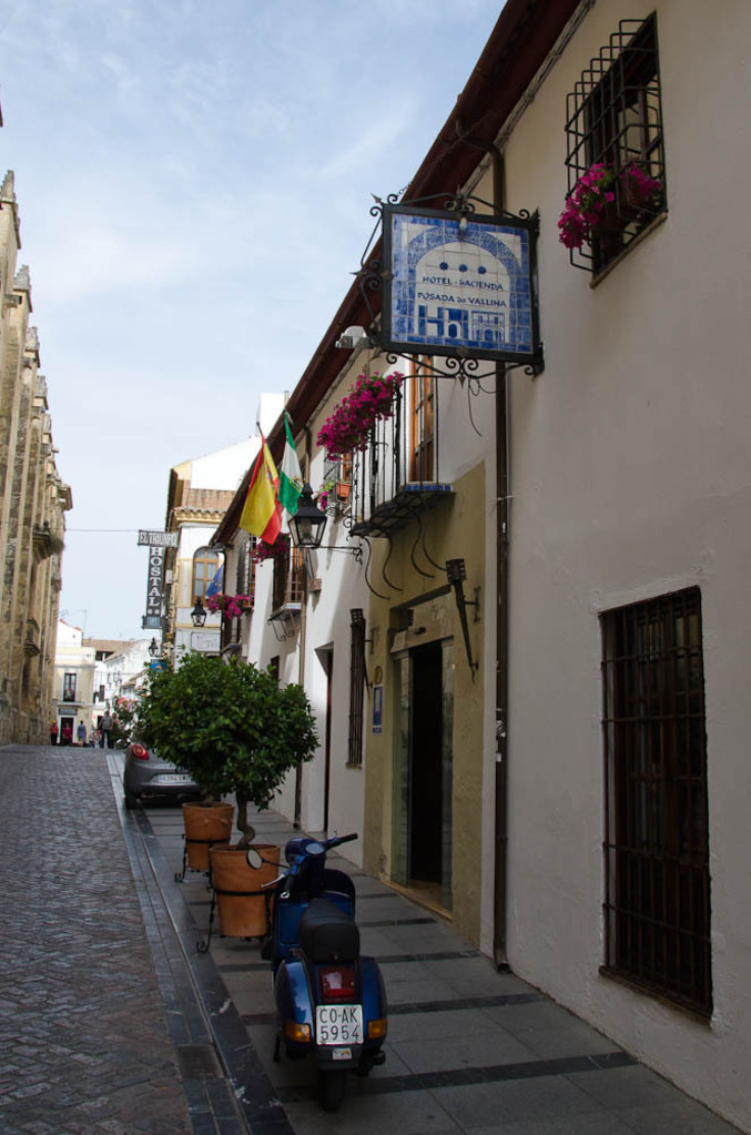 Our hotel
