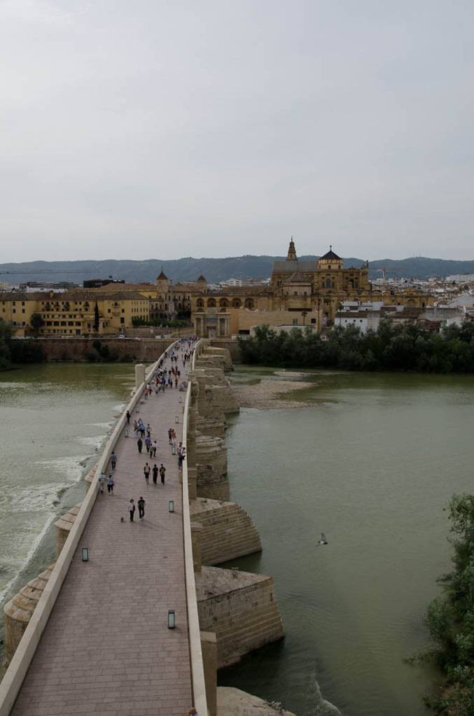 Cordoba