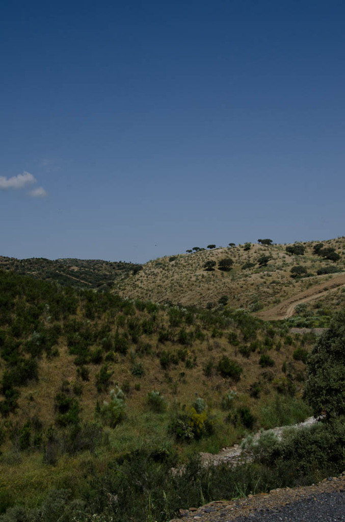 On the road to Peñarroyo-Pueblonuevo