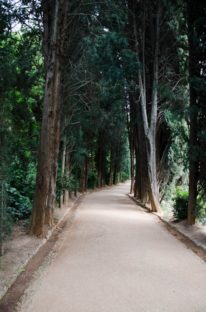 The Palacio de Generalife