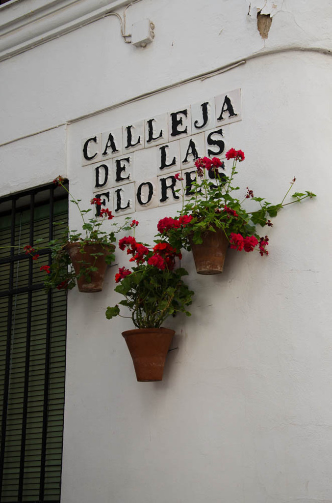 Calleja de las Flores