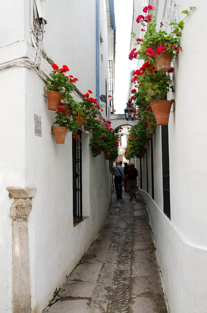 Calleja de las Flores