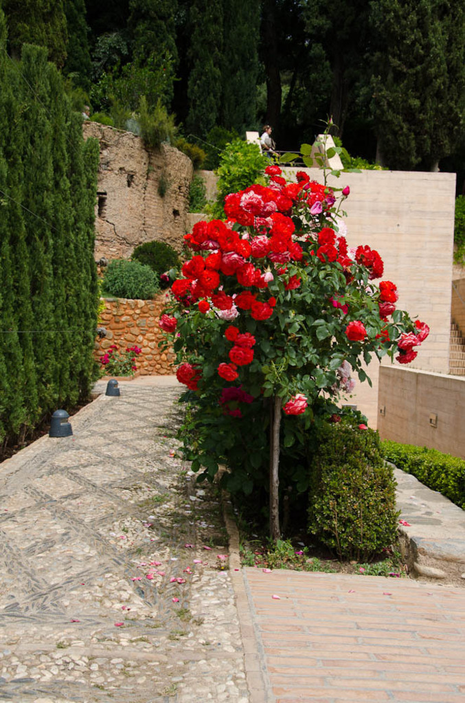 The Palacio de Generalife