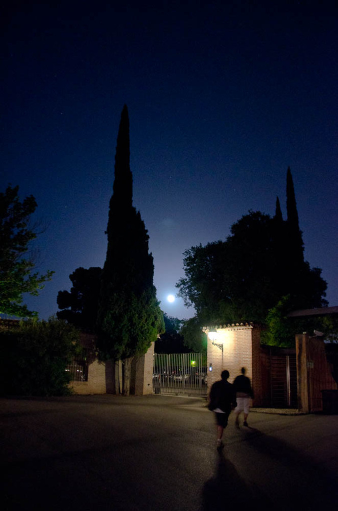 Moonlight