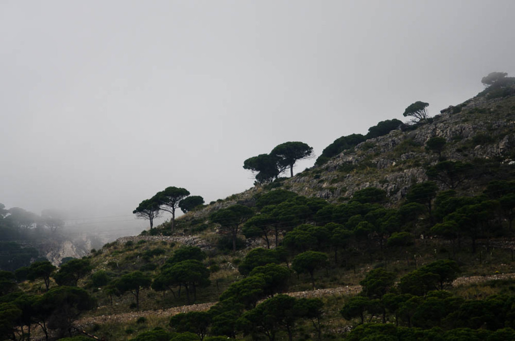 Mijas