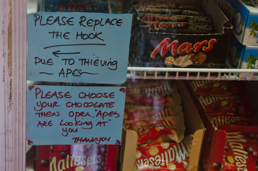 Please replace the hook due to thieving apes