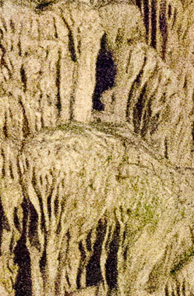 Cave detail at ISO 25600