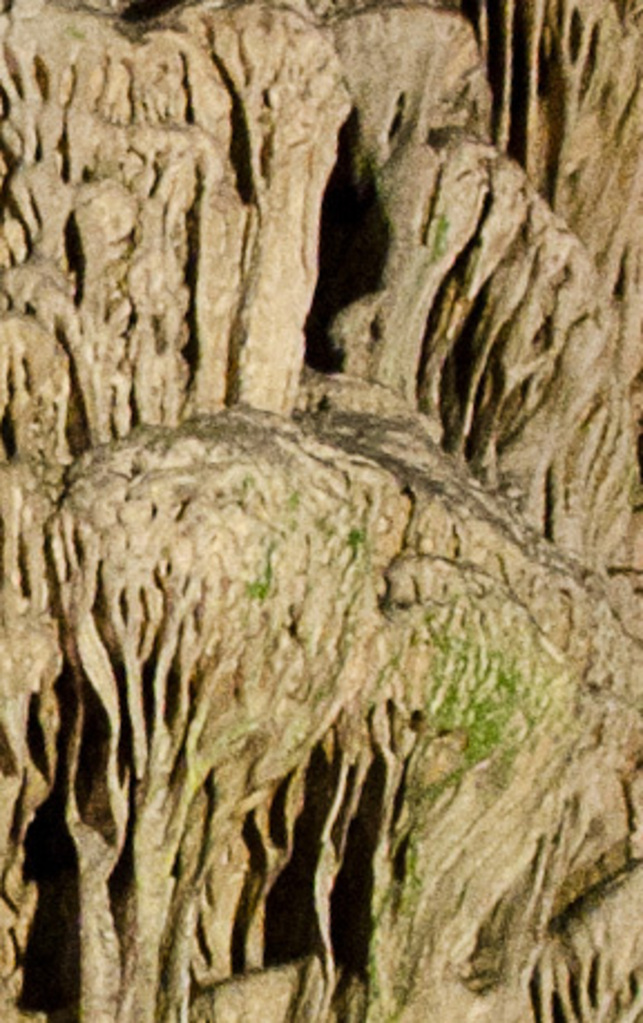 Cave detail at ISO 1600
