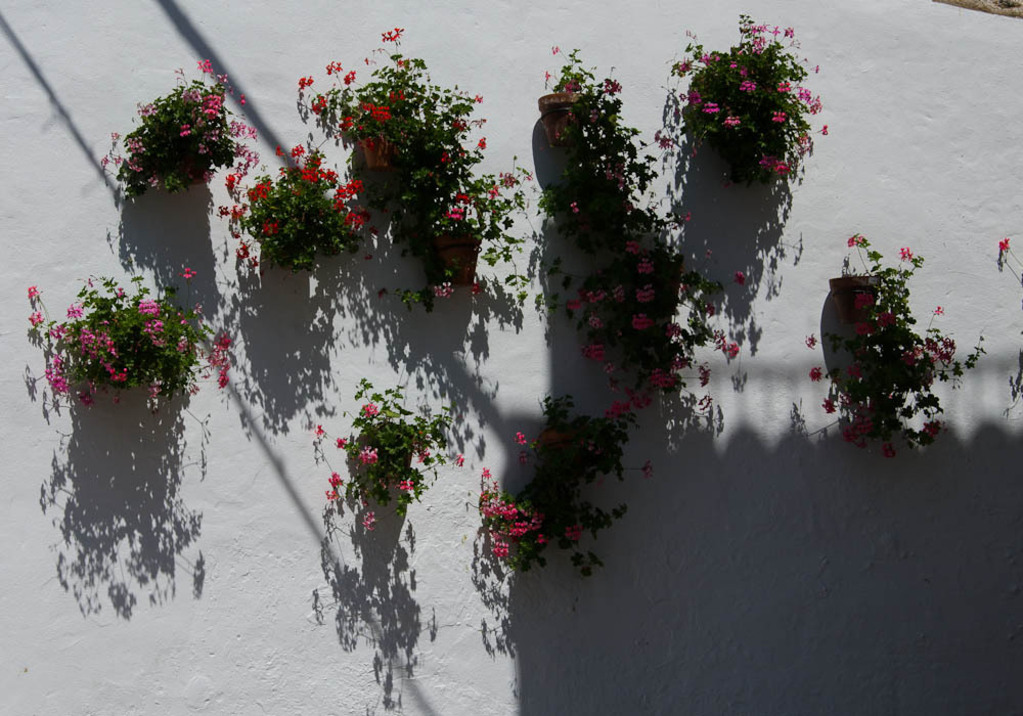 Marbella