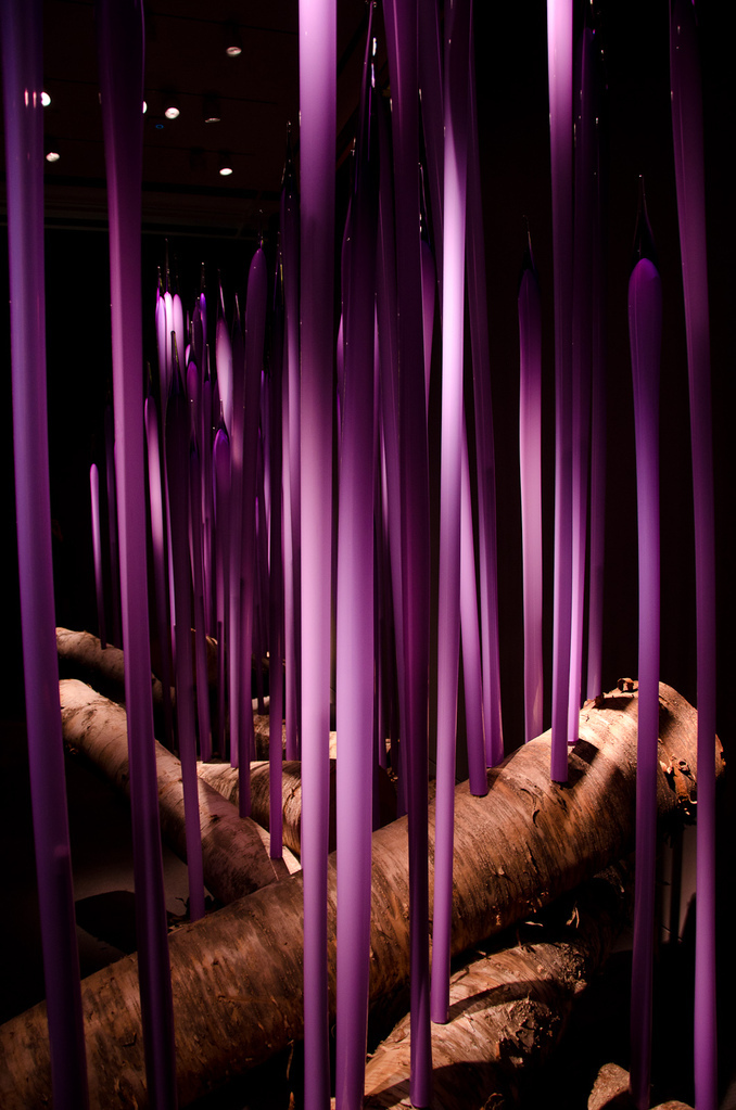 Neodymium Reeds on Logs