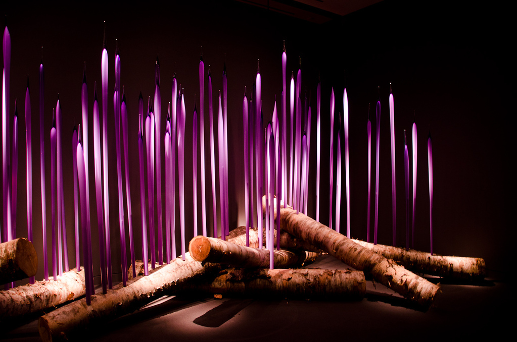 Neodymium Reeds on Logs