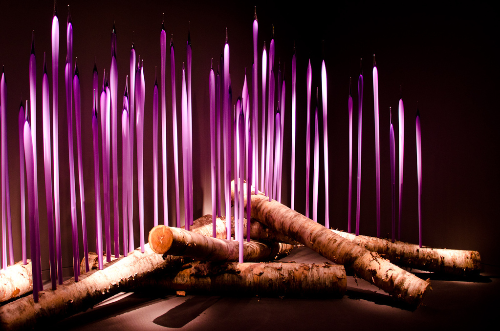 Neodymium Reeds on Logs