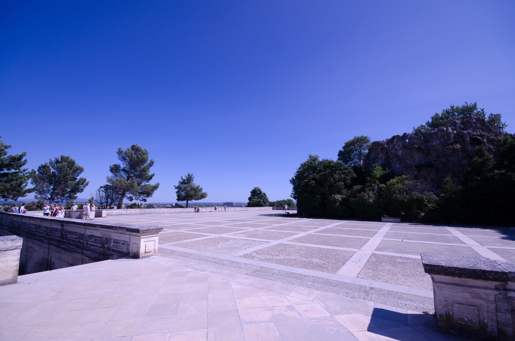 Avignon