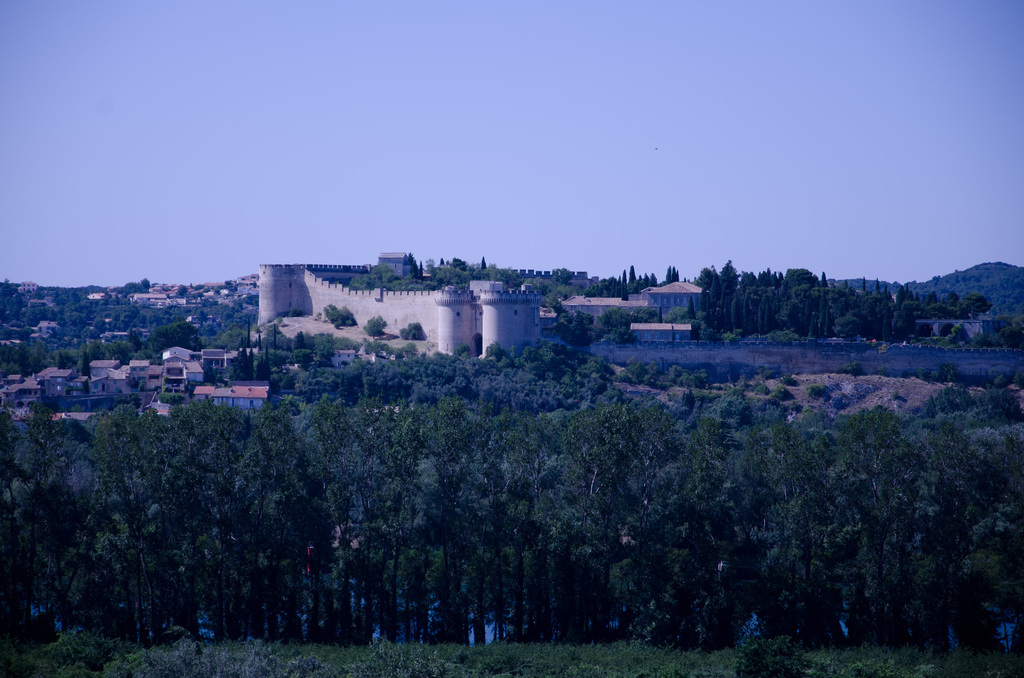 Avignon