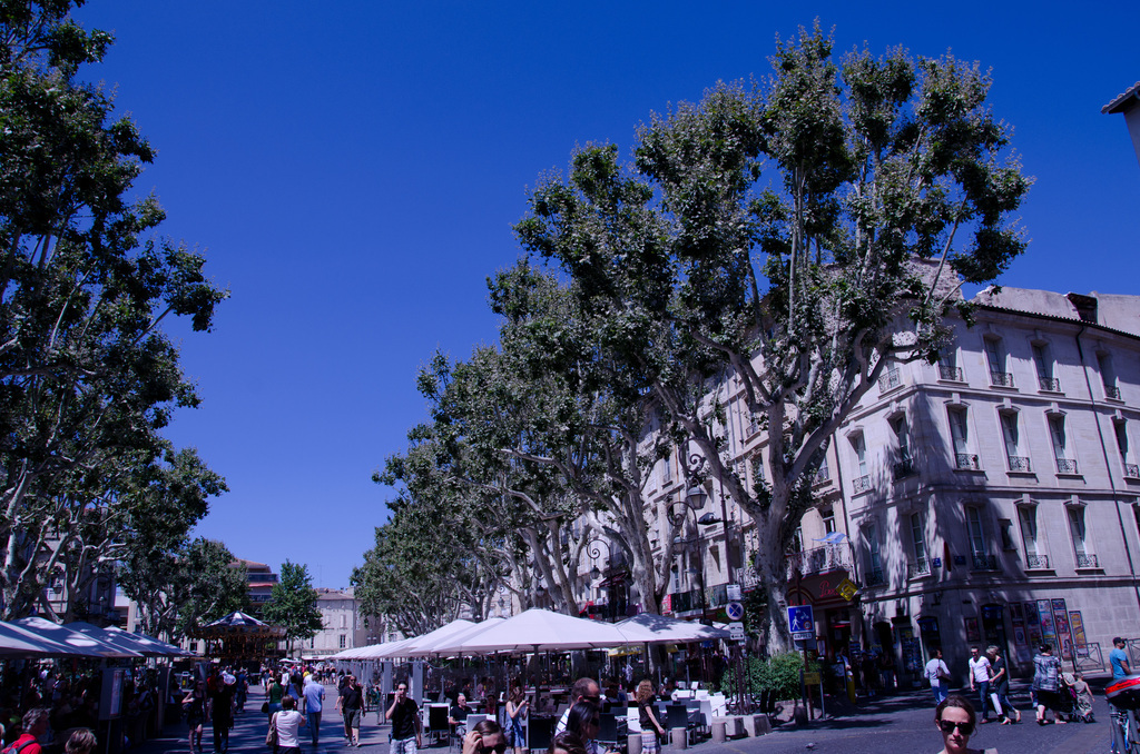 Avignon
