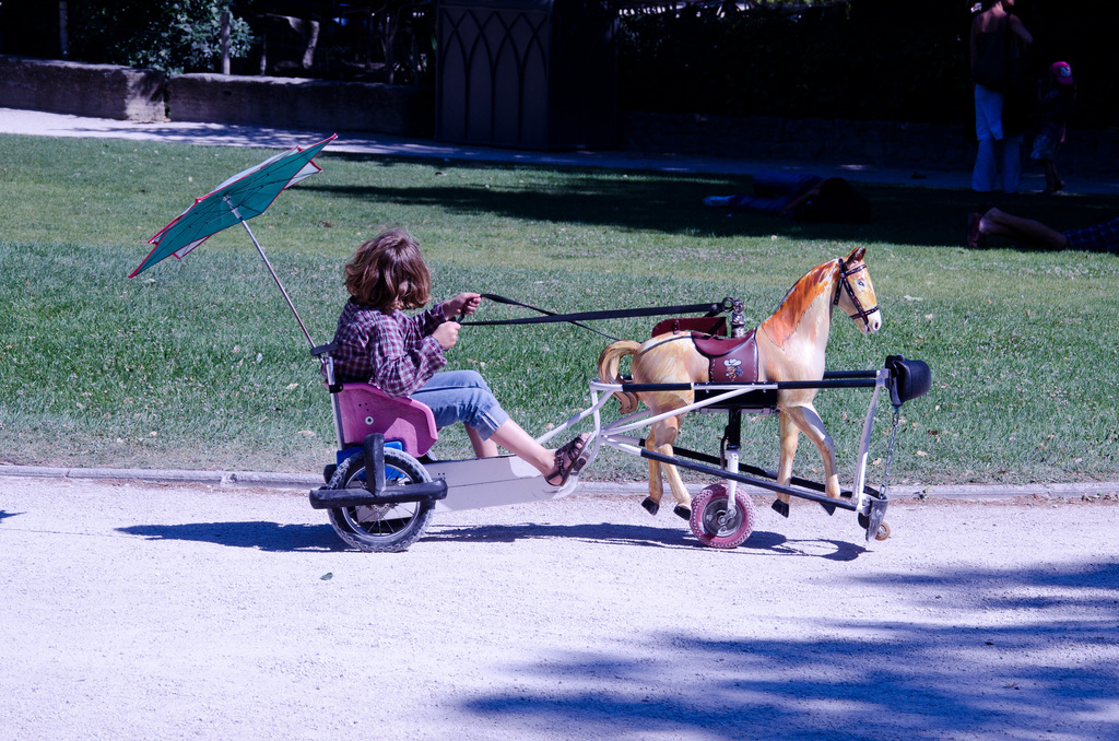 Bicycle horse
