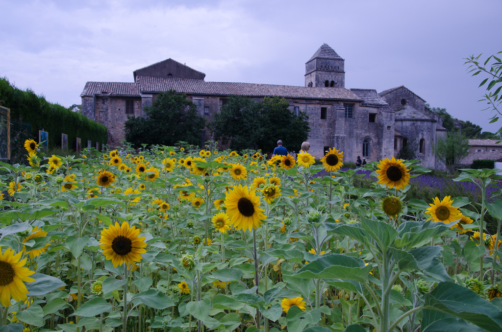 Saint-Rémy-de-Provence