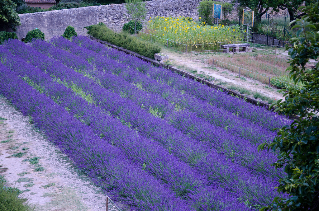 Saint-Rémy-de-Provence