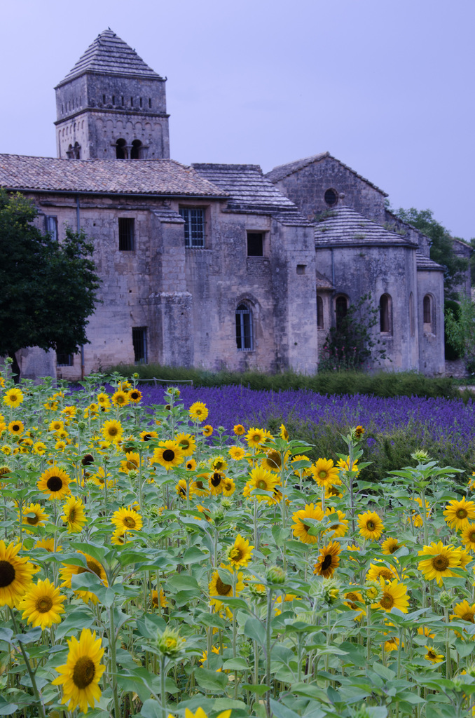 Saint-Rémy-de-Provence