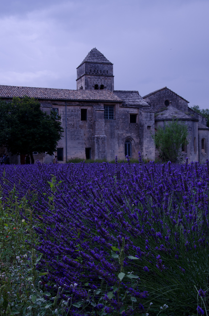 Saint-Rémy-de-Provence