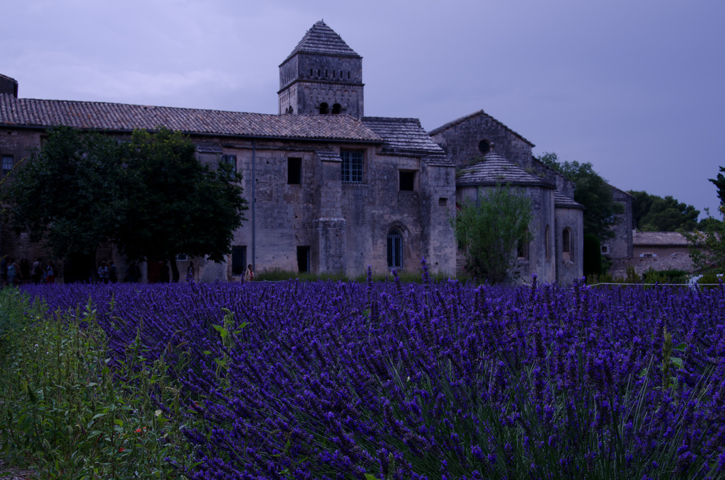 Saint-Rémy-de-Provence